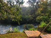 Campiness Camping & Farmsook