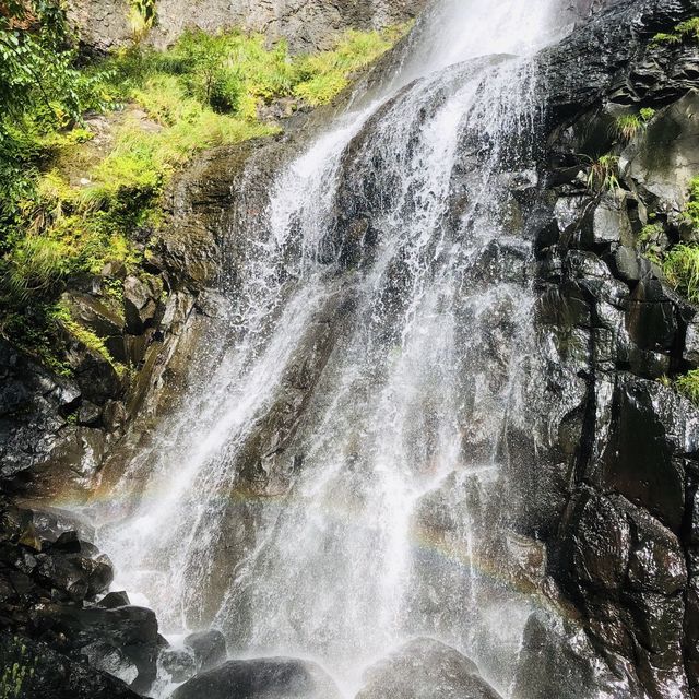 ㄧ日冒險王⛰阿里磅瀑布登山步道