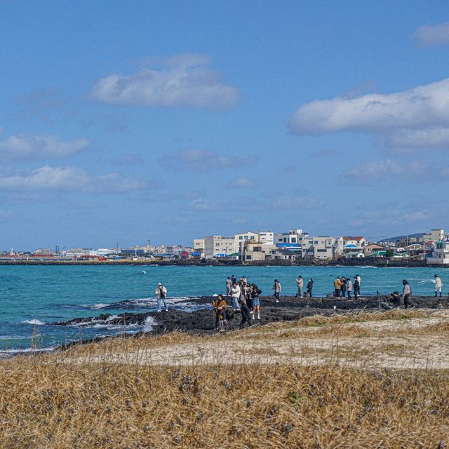 제주 서쪽의 아름다운 해변, 협재해수욕장🌊