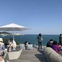 부산 기장 뷰맛집 대형 카페 [웨이브온🏖]