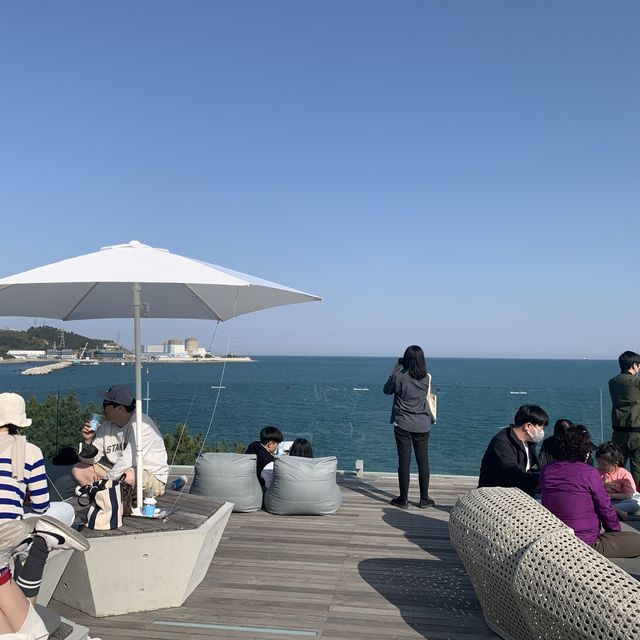 부산 기장 뷰맛집 대형 카페 [웨이브온🏖]