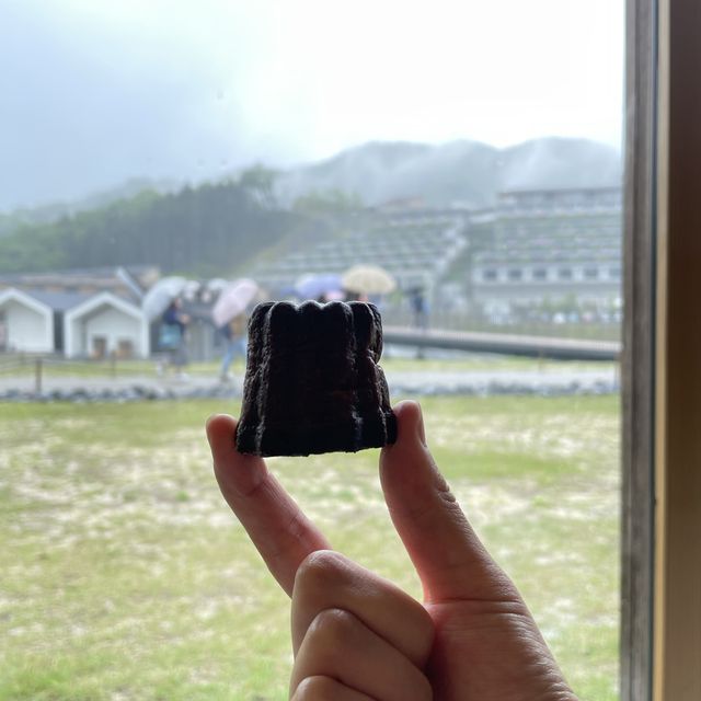 VISONのパン屋さん🍞