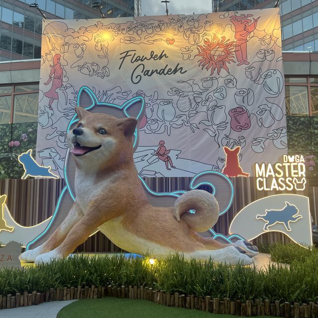 🐶狗狗都可以一齊做運動啦！