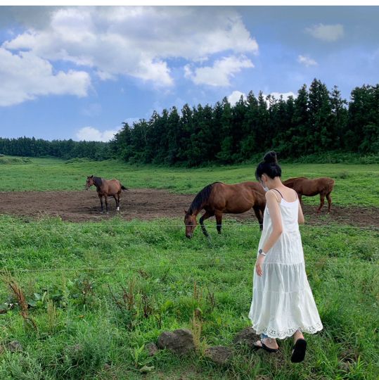 🐴 말과 함께 ‘성이시돌목장‘ 🐴