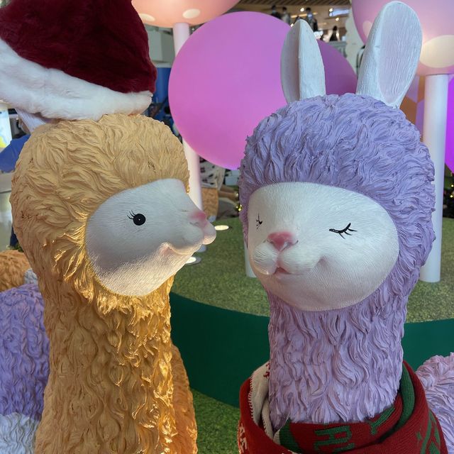 聖誕節🎄快到啦～～