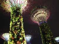 Gardens by the Bay