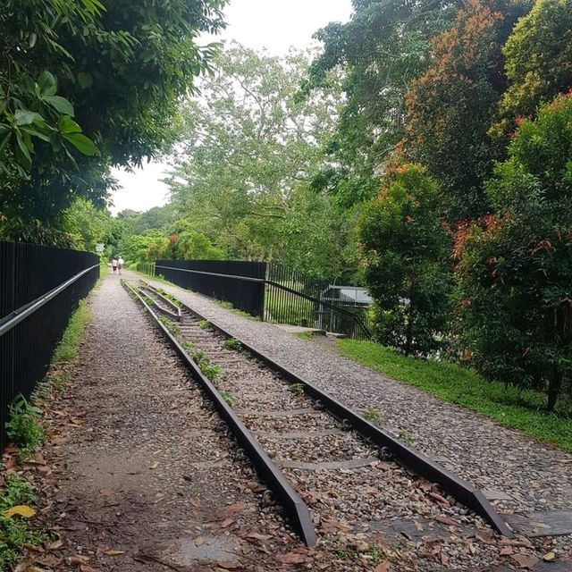 The Belukar trial at bukit timah