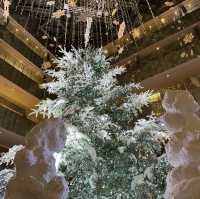 KITTE丸の内のクリスマスイルミネーション