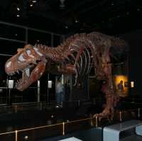 Badlands and dinosaurs