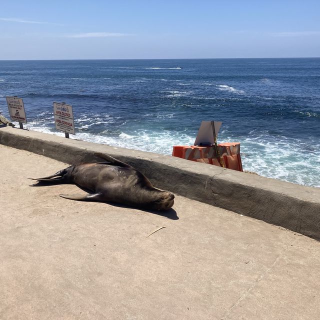 La Jolla Cove