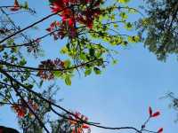 Yercaud - Hill Station in Tamil Nadu, India 