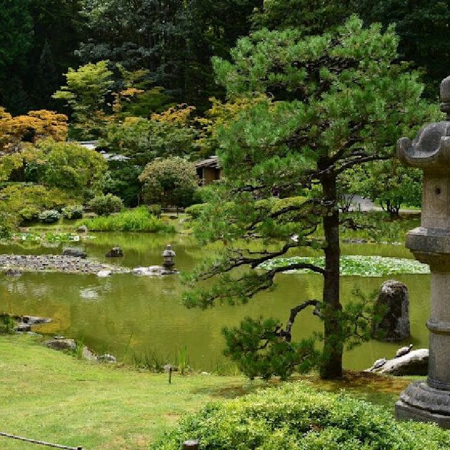 Washington Park arboretum 