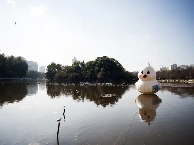 Kunming / China 