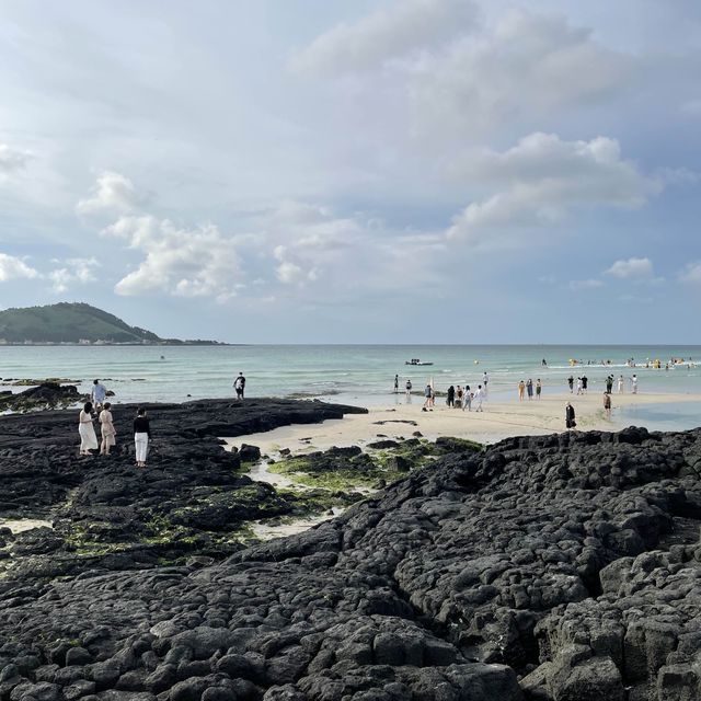 천해의 보물 제주도