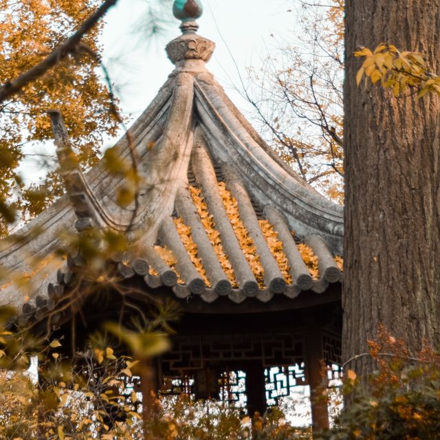 One of Suzhou’s classical gardens.