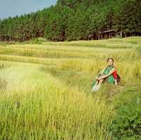 Golden Rice Terraces Oujia Village, Taibao Town, Lianshan, Yao Autonomous County, Qingyuan