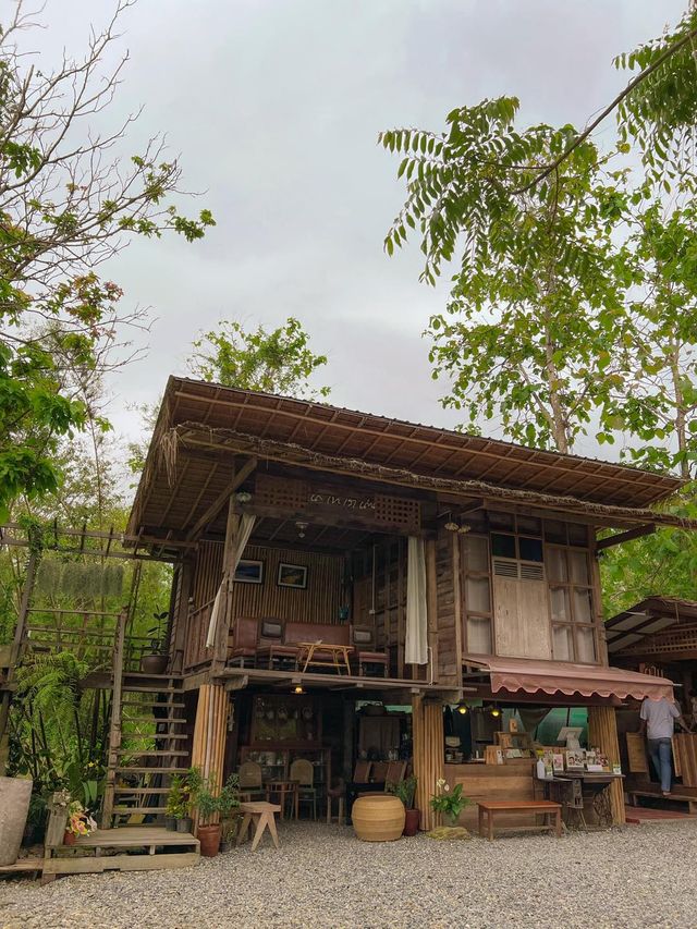 ผามกาแฟ by นาเขาเราน่าน ณ.ปัว จ.น่าน💚☕️