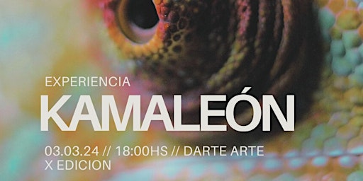 Kamaleon X Edición | Galería DarteArte