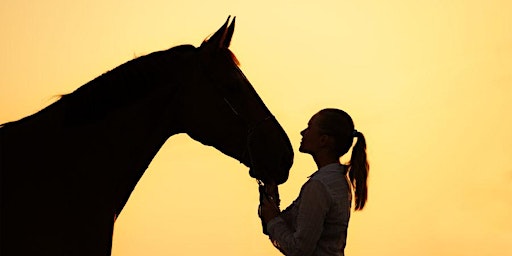 Read the Arena: Explore Yourself through Engaging with Horses | One Oak Farm Paint and Quarter Horses