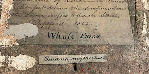 FIELDWORK AS PRACTICE | APT Gallery