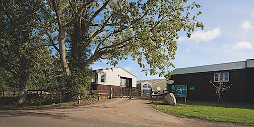 Tours of Grandey's Place | Grandey's Place