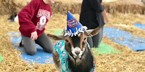 Goat Yoga Nashville- New Year's Class | Goat Yoga Nashville