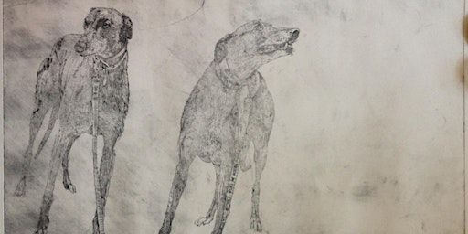 5 week Drawing starter course | Elysium Gallery Unit 18 The Market Hall.