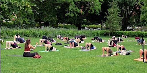 Killiney Beach Yoga Flow | Killiney Beach