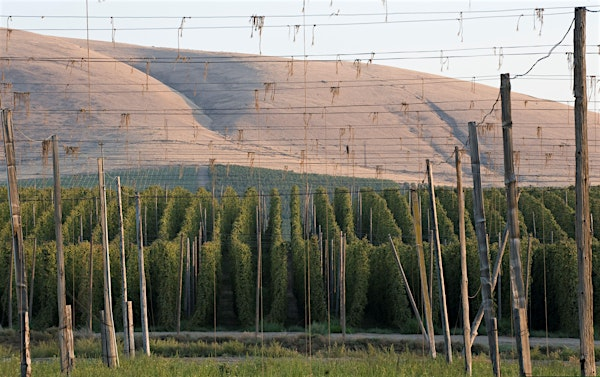 Hop Research Council Summer Meeting - Additional Attendee | Hilton Garden Inn Yakima Downtown