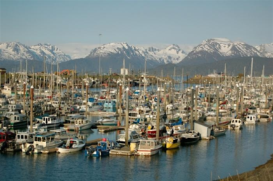 Awesome Scavenger Hunt! - Homer's Great Alaskan Adventure: A Scavenger Hunt | 201 Sterling Hwy