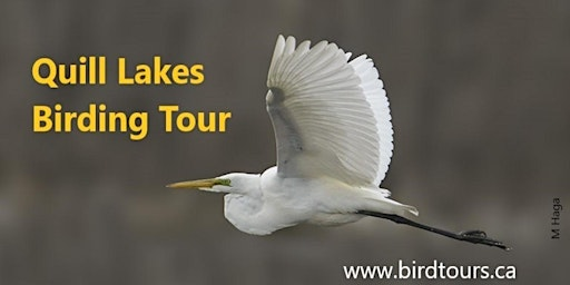 Quill Lakes Birdwatching Tour | Wild Birds Unlimited