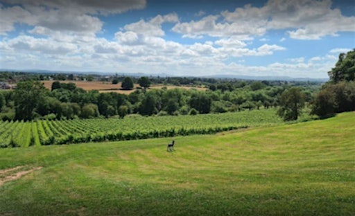 Commercial  & Agricultural Conveyancing Event | Hencote Vineyard