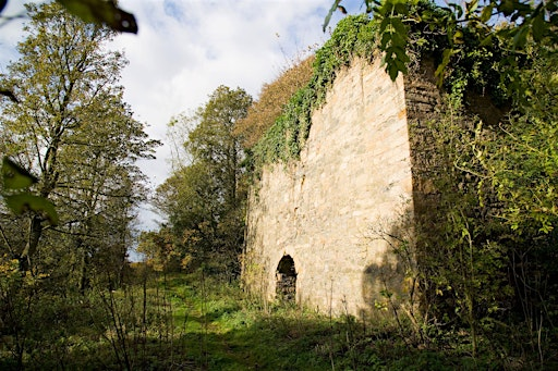 Craighall Woodland Wander | Craighall Den
