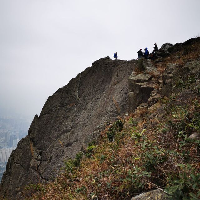 行飛鵝山再落自殺崖 行飛鵝山再落自殺崖