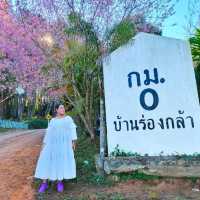 บ้านร่องกล้า