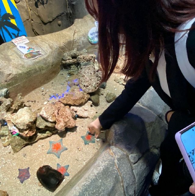 해운대 바다 근처의 실내 사진맛집, 씨라이프 아쿠아리움