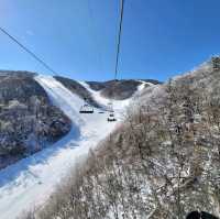 손쉽게 산 정상에서 눈꽃을 볼 수 있는 덕유산 리조트