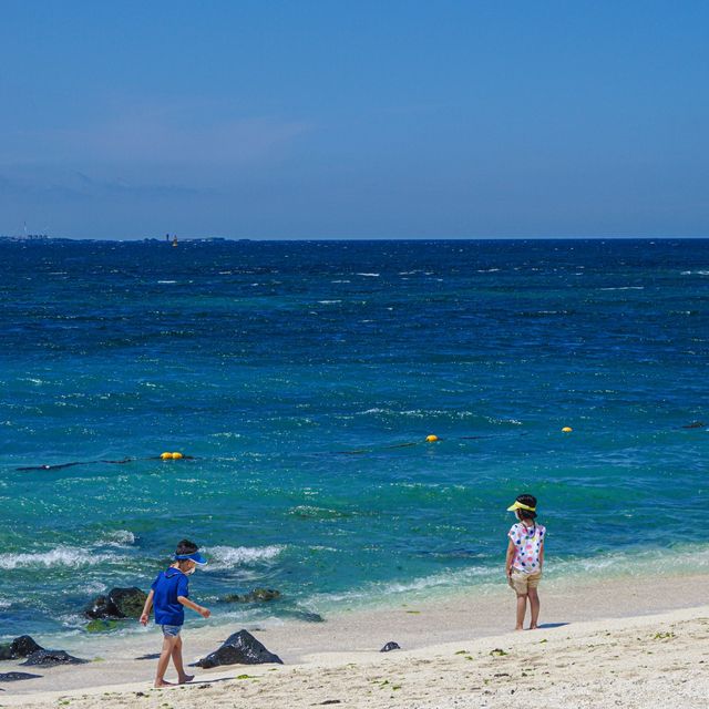 모래가 아닌 산호로 만들어진, 산호해수욕장🌊
