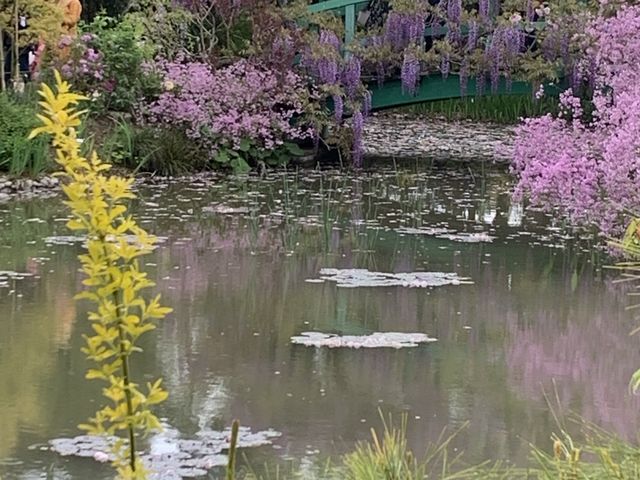 #浜松市　#浜名湖ガーデンパーク　#花畑　#ラッキーわんこ旅