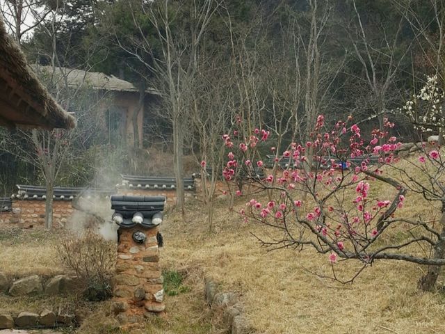 무안군 초의 선사