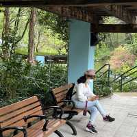 荃灣城門谷公園