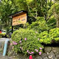ススキの原 一の湯