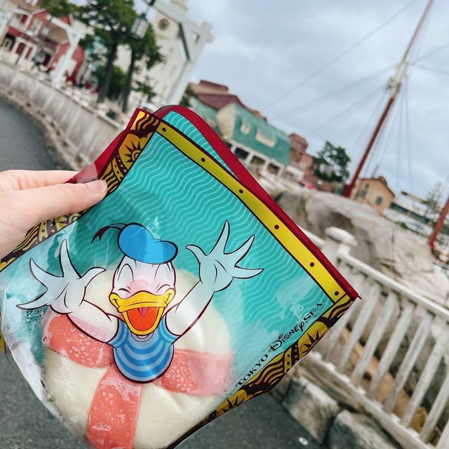 東京ディズニーシー/20周年/雨