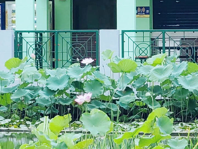 城門谷公園