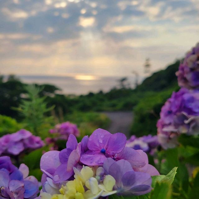 【隠岐の島町】夢の崎展望台