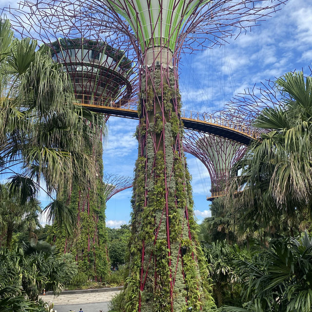Gardens by the bay