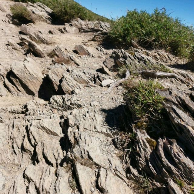 最容易入門的百岳「石門山」…人人都可登百岳