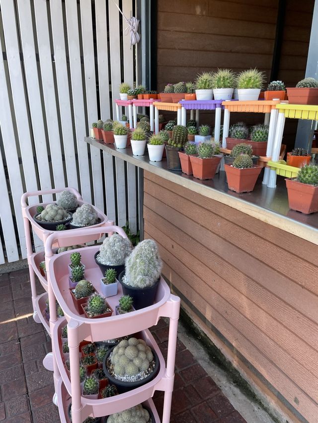 a little Smoothie Bar in Thauthen
