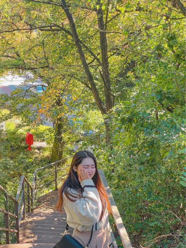 철도길이 아름다운 테마터널, ‘오미자테마터널’
