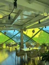 เช็คอิน Kfe House ค่าเฟ่สุดปังในดาลัด 